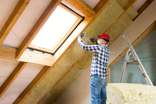 Types of Insulation We Offer in Comstock Park, MI